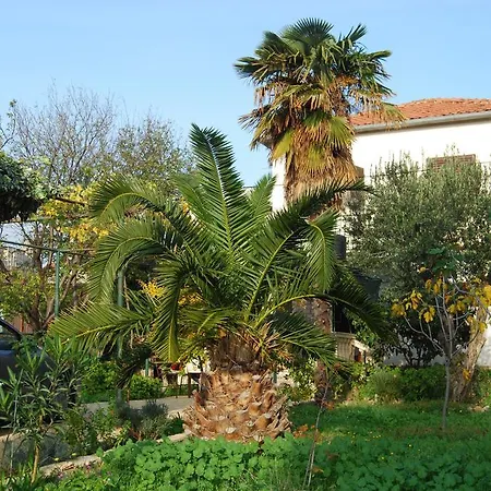 Guest house Agava