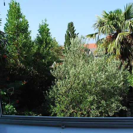 Agava Guest house 3*