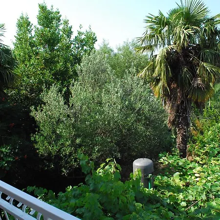 Guest house Agava 3*